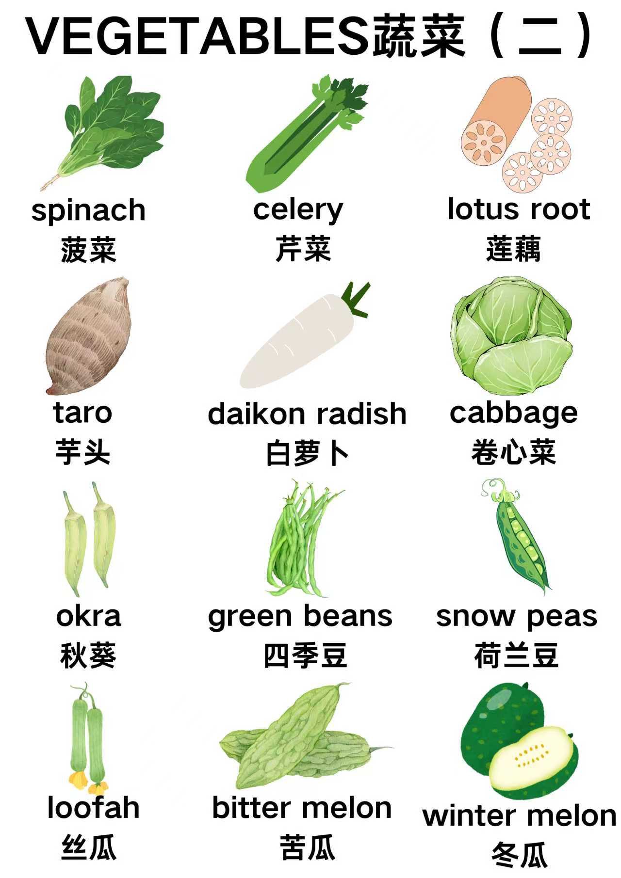 VEGETABLES 蔬菜（二） 点读卡